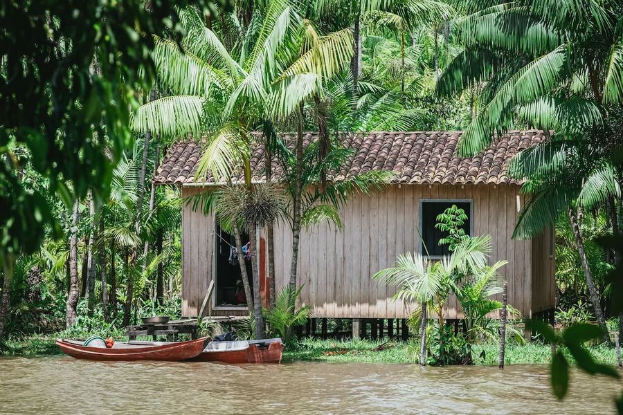 Venha viver uma experiência inesquecível em um viagem à Amazônia
