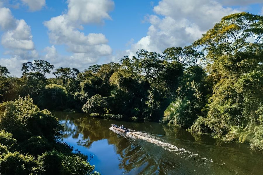 Como se preparar para visitar a Amazônia