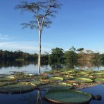 O que fazer em Itacoatiara