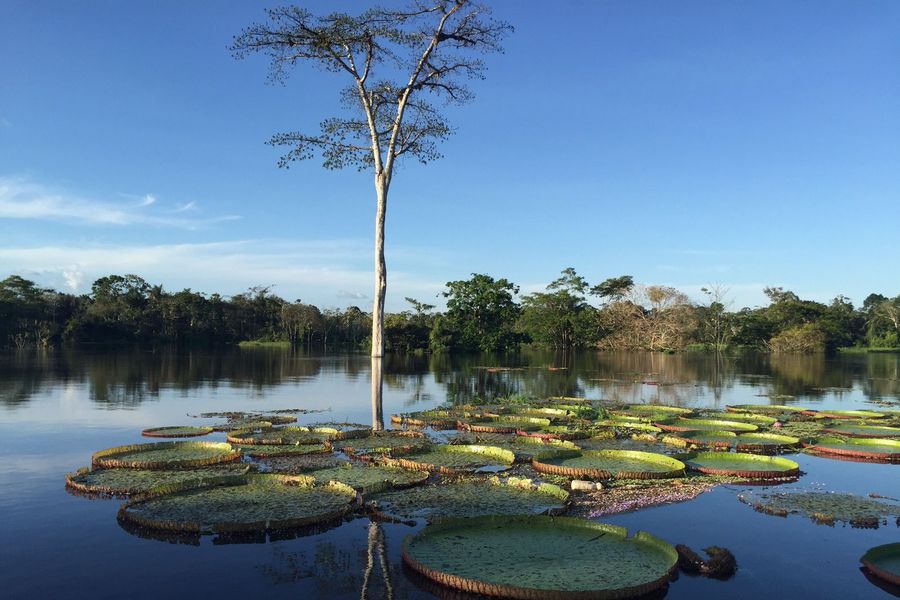 O que fazer em Itacoatiara