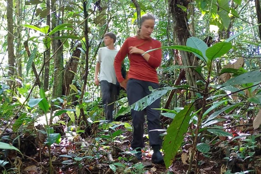 Turismo de Aventura no Amazonas — Descubra Emoções Inesquecíveis na Floresta Amazônica!