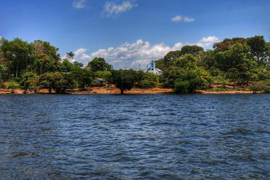 Maués: A Energia Vibrante da Terra do Guaraná
